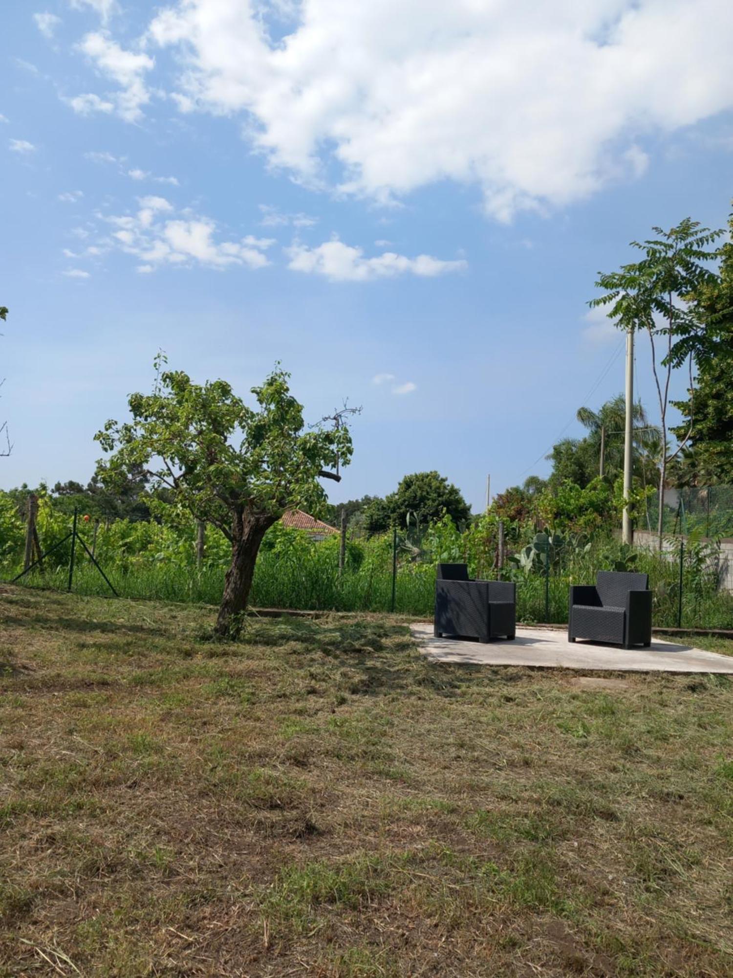 Etna Green House Villa Zafferana Etnea Exterior photo